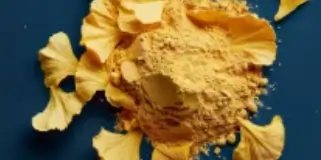 Ginkgo Biloba Leaf Powder